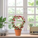 Support de piquetage pour plantes grimpantes 5