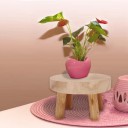 Support en bois pour plantes 4