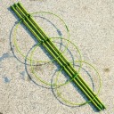 Support métallique pour plantes grimpantes 4