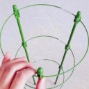 Support métallique pour plantes grimpantes 5
