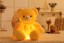 Svítící LED plyšový medvídek 32 cm 3