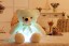 Svítící LED plyšový medvídek 32 cm 4