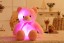 Svítící LED plyšový medvídek 32 cm 5