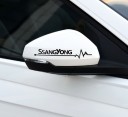 Sydämenlyönnit-autotarra 2 kpl 1