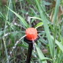 Συσκευή σταγόνων άρδευσης 2