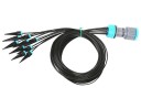 Système de pointes d'irrigation 1