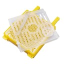 Système JENTER pour l'élevage de reines d'abeilles 3
