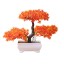 Sztuczne bonsai C477 5