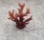 Sztuczny koral do akwarium 5