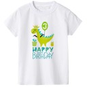 T-shirt d'anniversaire pour garçon B1403 3
