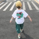 T-shirt et pantalon pour garçon L1597 2