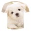 T-Shirt T2361 2