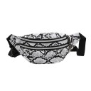 T817 fannypack för kvinnor 6