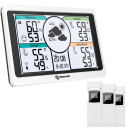 T955 Weather Station 1