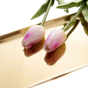 Tabuleiro decorativo dourado em aço inoxidável 23 cm Organizador estiloso para joias, cosméticos e pequenos objetos Decoração de design 3