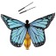 Tanečné motýlie krídla pre deti 5