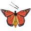 Tanečné motýlie krídla pre deti 6