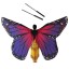 Tanečné motýlie krídla pre deti 7