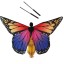 Tanečné motýlie krídla pre dospelých 2