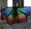Taneční motýlí křídla pro děti 1
