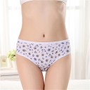 Tangas femininas com cintura elástica 11