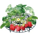 Tapis de fraise A2886 4
