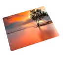 Tapis de souris K2448 4