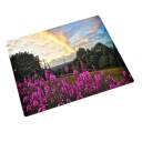 Tapis de souris K2448 8