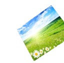 Tapis de souris K2508 5