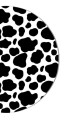 Tapis de souris rond K2521 6