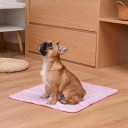 Tapis rafraîchissant pour chiens et chats 150 x 100 cm 5