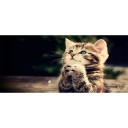 Tappetino per mouse e tastiera K2383 17