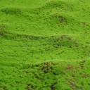 Tappeto decorativo 50 x 50 cm con muschio artificiale dall'aspetto realistico di un manto muschioso per interni 2