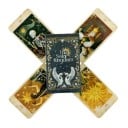 Tarotkarten illustrierter Deck mit natürlichen und tierischen Motiven in dunklen und goldenen Tönen detaillierter Zeichnungen für Tarot-Lesungen 3