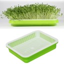 Tasse de germination avec tamis 2