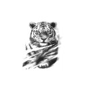 Tatuagem falsa felina 40