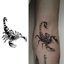 Tatuaje temporal impermeable de escorpión, 10 x 8 cm, tatuaje corporal falso, tatuaje de escorpión, tatuaje temporal duradero por 15 días. 2