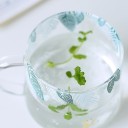 Taza de cristal con animales 3