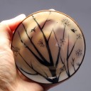 Taza de té japonesa 4 piezas 2