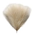 Tekonurmi pampas 42 cm 15 kpl 12