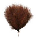 Tekonurmi pampas 42 cm 15 kpl 5