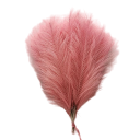 Tekonurmi pampas 42 cm 15 kpl 3