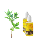 Tekutý stimulátor zakorenenia rastlín 50 ml rýchla podpora rastu koreňov živný roztok žltá kvapalina pre rezne a pestovanie rastlín 4