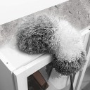 Telescopic Duster 245 cm 2