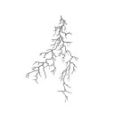 Temporäres wasserfestes Tattoo Einfache Linien 18 x 11 cm Künstlerisches Tattoo Geplatzte Blutgefäße Arm- und Nackentattoo Fake Tattoo für 15 Tage 1