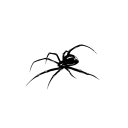 Temporary Spider Tattoo 12 x 8 cm – Realistic Appearance, Waterproof, Modern Style, Easy Application, Long-Lasting Effect, Detailed Design 1