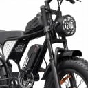 Terrein elektrokolo Fat bike Motor 250 W Baterij 48 V 15,6 Ah Volledige vering Shimano 7 versnellingen Banden 20 x 4 inch Zwart Voor terrein 2
