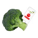 Tester de nitratos en frutas y verduras 1T, detector digital de seguridad alimentaria con pantalla táctil y sonda, blanco, para el hogar 4
