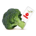 Tester di nitrati e rivelatore di radiazioni per alimenti, frutta, verdura, carne e pesce, 0–9999 mg/kg, touchscreen, bianco, per la sicurezza alimentare 2
