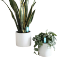 Tester di suolo Bluetooth Smart Tuya 161 x 31,5 x 19 mm Termometro e igrometro per il suolo Controllo tramite app iOS Android Piante da interno Serre 4